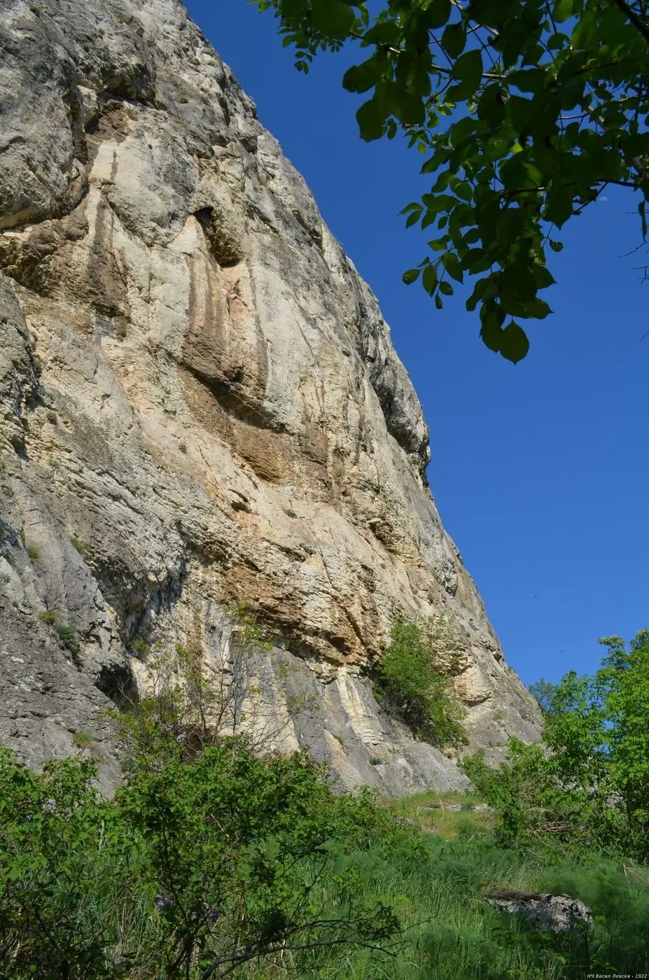 Скалата
